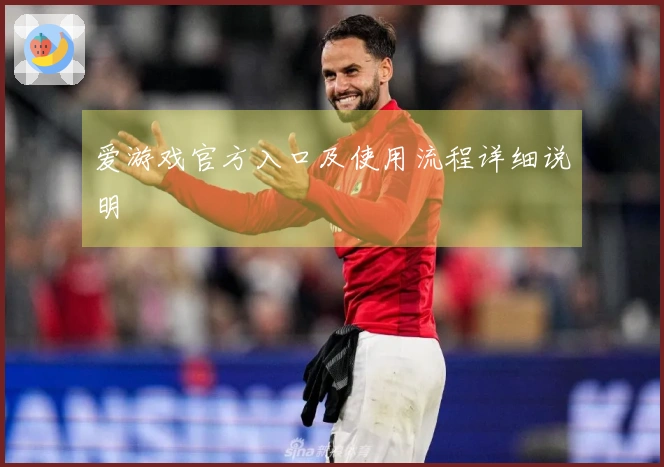 爱游戏官方入口及使用流程详细说明